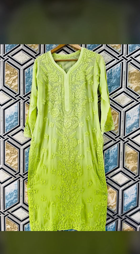 Kiara Rose Panel 5D Handembroidred Viscose Chikankari long kurta
