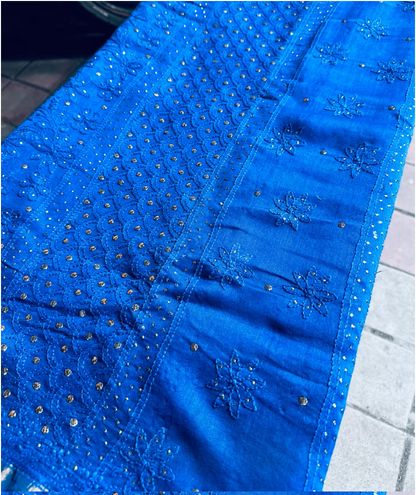 Vidushi Pure Chanderi Chikankari Saree